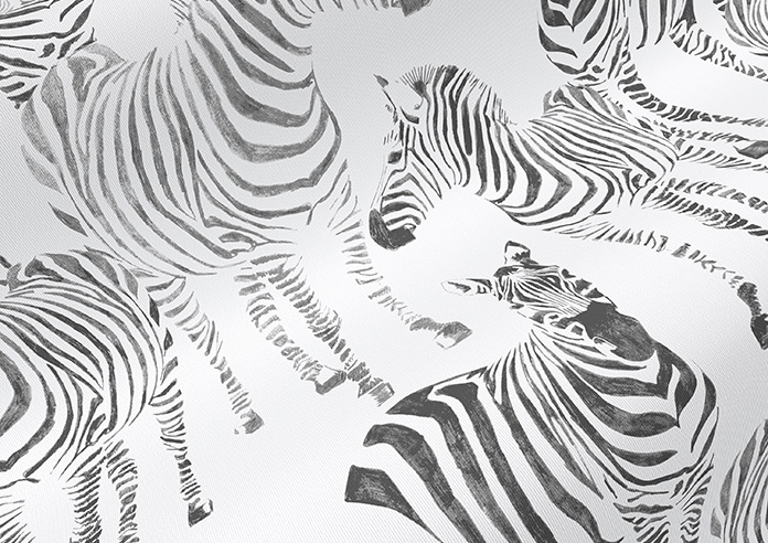 Zebra Zeal, Mono - Roller Blind - Image 4